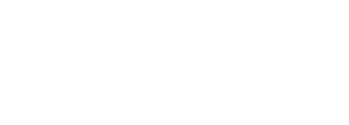 CHINEX